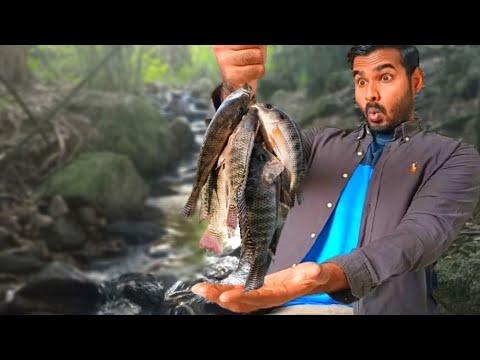 Survival Fish Cooking in the Forest / Sri Lankan Forest !