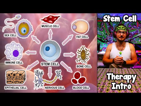 STEM Cell Adventures E1: Unveiling the Microscopic Heroes! A Fix With NO LIMITS! #HealingPowers