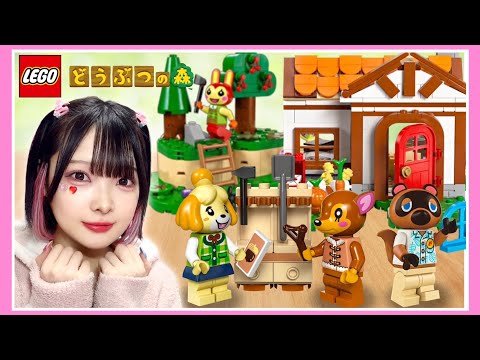 現実世界に『どうぶつの森』を作ってみた！？🌳🏠🍎【どう森】【たまちゃん】