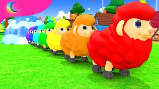 Baa Baa Black Sheep | BluLoo Nursery Rhymes & Kids Songs