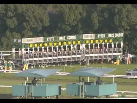 ラインクラフト 2005年 第22回マイルチャンピオンシップ(GI) (優勝馬：ハットトリック) (実況：ラジオNIKKEI)