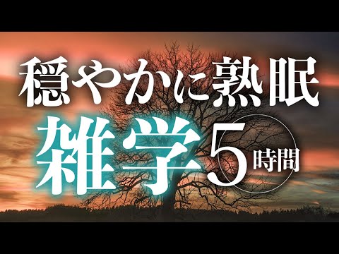 【睡眠導入】穏やかに熟眠雑学5時間【合成音声】