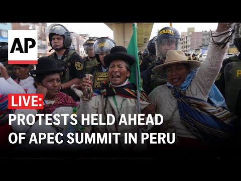 LIVE: Protests held ahead of APEC summit in Lima, Peru