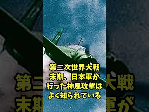 【ゆっくり解説】自己犠牲出撃 #ww2 #歴史 #ドイツ軍 #解説