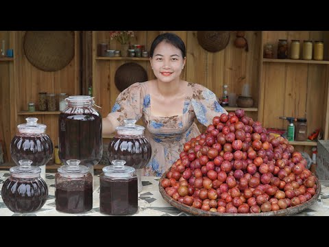 Village girl cook plum syrup - Extremely refreshing for summer  | Amazing cooking video