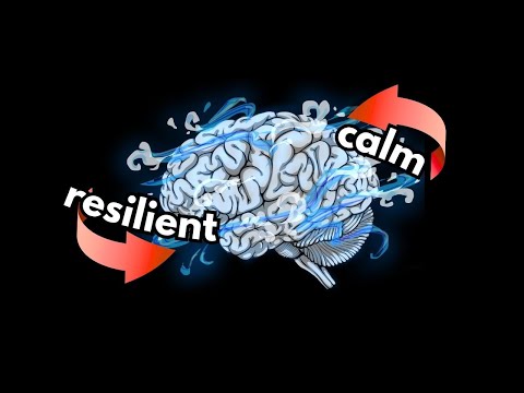 5 Signs You have a Resilient Brain Type ︳Kuma