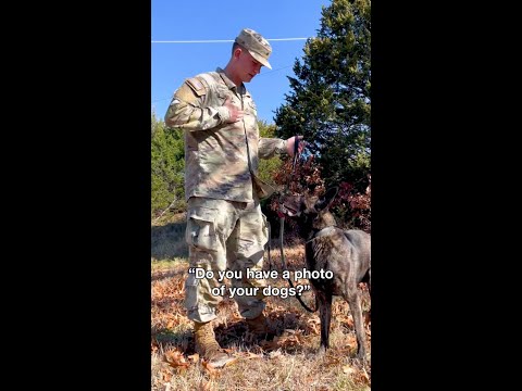 Military Working Dog Photos | GOARMY #shorts​