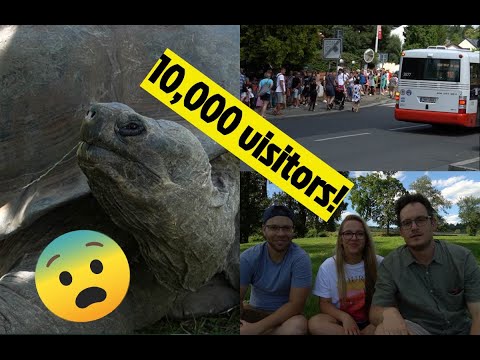 How to get to Prague ZOO/ the busiest we have EVER seen it!