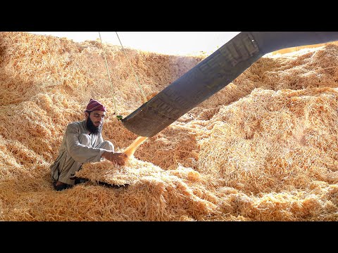 How Pakistan Produces Billions of Perfect Match Sticks Every Year