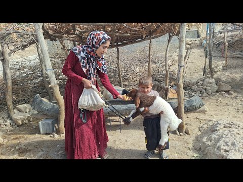 A Warm Village Morning: Shelter, Breakfast, and Kindness 🌄🐑☕