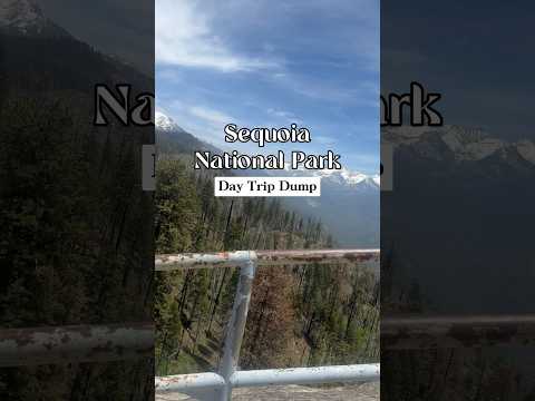 Visiting Sequoia National Park With Kids 🏔️ Things To Do In Sequoia National Park #shorts #SEKI