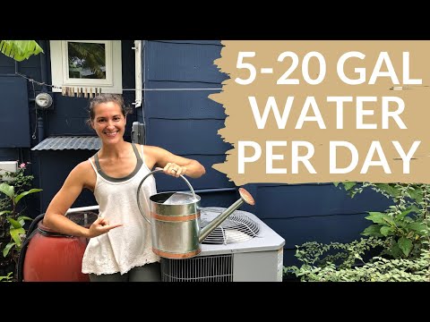 Free Water for Plants if You Have an Air Conditioner