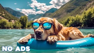 12 HOURS of Dog Calming Music For Dogs🎵🐶Anti Separation Anxiety Relief🐶💖Deep Sleep Music