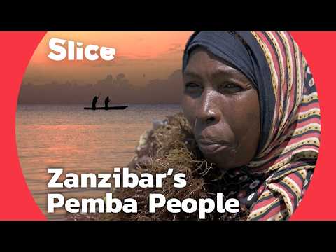 Zanzibar’s Waves of Change: How Wapemba Women Took Back the Sea from Men | SLICE | FULL DOCUMENTARY