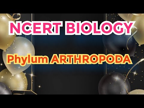 PHYLUM ARTHROPODA