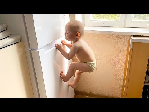 Try Not To Laugh Funny Babies Moments - Funny Baby Videos