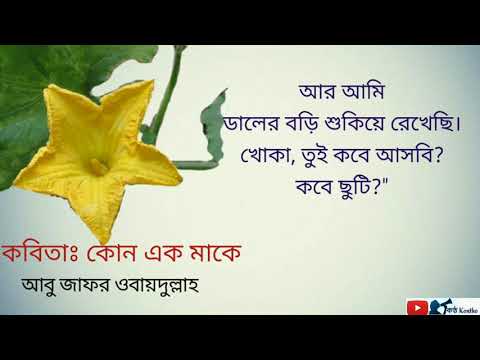 কুমড়ো ফুলে ফুলে নুয়ে পড়েছে লতাটা ||কোন এক মাকে-আবু জাফর ওবায়দুল্লাহ|| Lyrics সহ বাংলা কবিতা আবৃত্তি