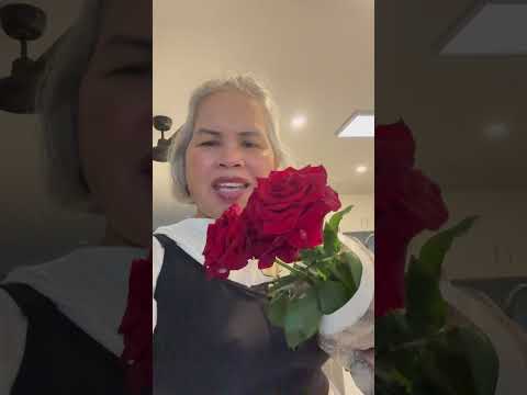 #shortvideo #red #roses #beautiful