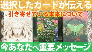 【11.11 最高未来✨】オラクルカードよりご伝達🌻あなたが今、引き寄せている事🍀［霊視・タロット ・ルノルマン占い］