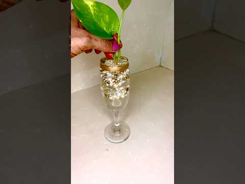 Money Plant Grow & Decor in Water #plantsdecor #homedecor #houseplants #diy #moneyplantdecor #water