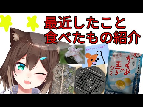 【最近食べたもの紹介＆したこと】雑談配信【にじさんじ】