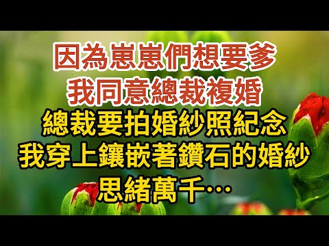 大結局【上】《隱藏孕肚離婚》第05集：因為崽崽們想要爹，我同意總裁複婚，總裁要拍婚紗照紀念，我穿上鑲嵌著鑽石的婚紗，思緒萬千…… #戀愛#婚姻#情感 #愛情#甜寵#故事#小說#霸總