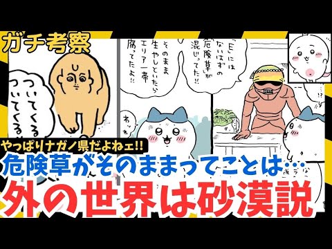 【ちいかわガチ考察】外の世界は「砂漠化」してるってコト？　#ナガノ県