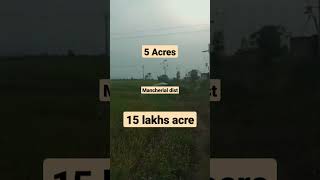 5 Acre#agriculturelandforsale #mancherial dist chenuur mandal @15 lakhs acre #9533344166