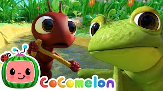 Row, Row, Row Your Boat Ants! | CoComelon Furry Friends | Animals for Kids