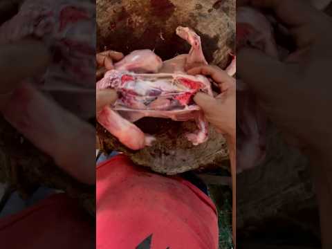 Whole Chicken Cutting 😱😱 #shorts #viralvideo