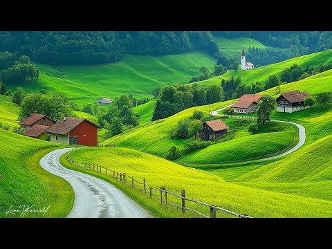 Great relaxing peaceful music 🌿 Music heals the heart and blood vessels. Gentle Background Music