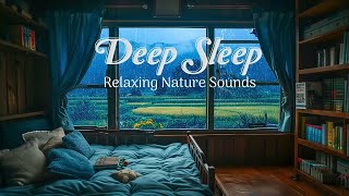 Relaxing Nature Sounds for Sleep | Rain and Thunderstorm Ambience