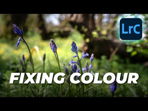 Fixing Colour in Lightroom Classic | Tutorial Tuesday