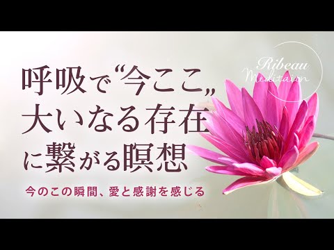 【瞑想】呼吸で"今ここ”大いなる存在に繋がる。深い安心感と感謝の気持ち💫リラクゼーション・愛・祈り・波動アップ