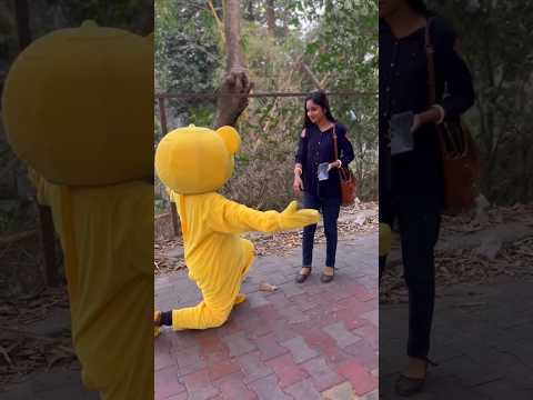 funny teddy dance cute girl 😍 #shorts #shortsfeed #short #viral #funny #youtubeshorts #shortvideo