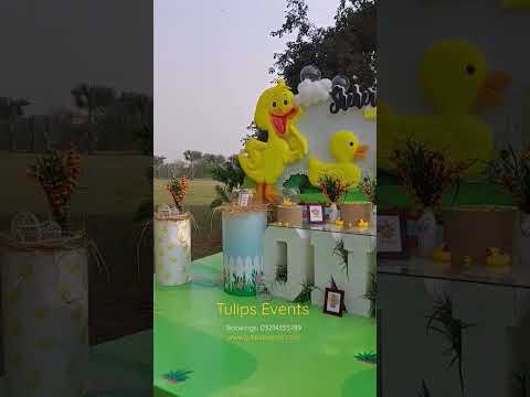 Five little duck theme party decorations #fivelittleducks #birthdaypartydecorationideas