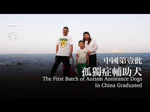 中國第壹批孤獨症輔助犬 The first batch of autism assistance dogs in China graduated