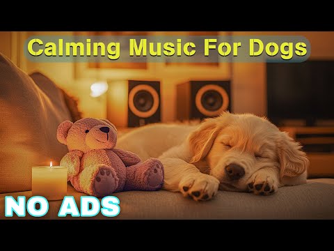 12 Hours of Dog Calming Music for Dogs 🎵 Dog Sleep Music 🐶 Separation Anxiety Relief Music ⭐No Ads