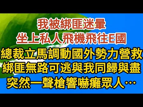 《孕期偷偷哭》第08集：我被綁匪迷暈，坐上私人飛機飛往E國，總裁立馬調動國外勢力營救，綁匪見無路可逃要與我赴死，突然一聲槍響嚇癱眾人……#恋爱 #婚姻 #情感故事 #甜宠 #故事#小说#霸总