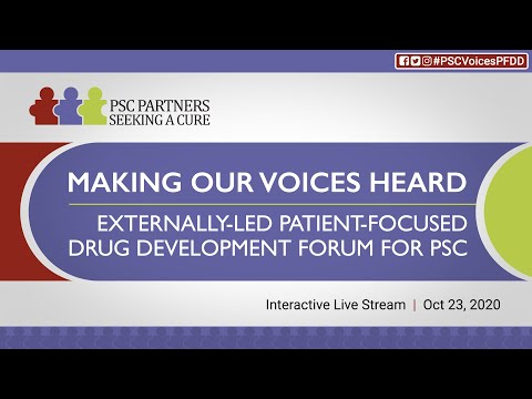 Making Our Voices Heard - Externally-Led PFDD for PSC (Full Program)