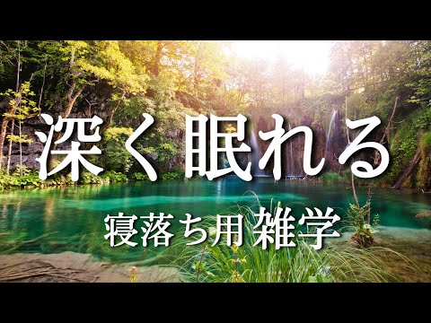 【大人向けの雑学】深い睡眠へ誘う睡眠導入雑学【不眠症対策】