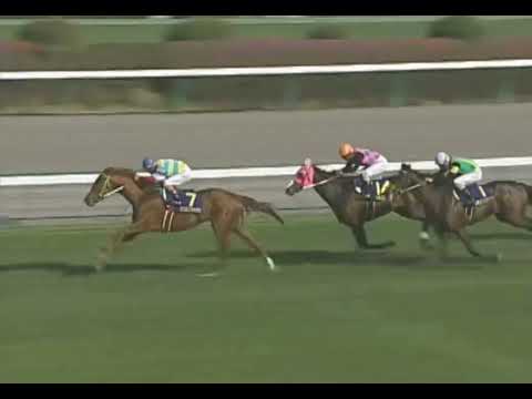 ジャングルポケット 2001年 第61回皐月賞(GI) (優勝馬：アグネスタキオン) (実況：ラジオたんぱ)