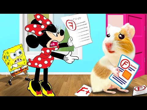 🐹Hamster escapes the awesome maze for Pets in real life 🐹 Hamster vs SpongeBob Battle Part 2