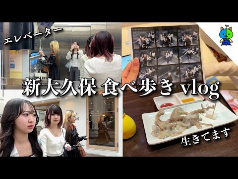 vlog🦑エレベータープリと活イカを喰らう日曜日🇰🇷 【MOMOLOG_181】