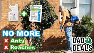 How To Do Your Own Pest Control and SAVE MONEY | Dad Deals