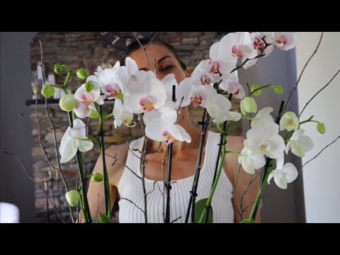 Forest Ride | Favorite Breakfast | Orchid Arrangement | Sourdough Bread | Heghineh | Episode 8