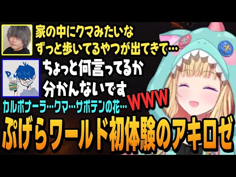 【スト6】ぷげらワールドに慣れてないアキロゼとドンさん、もう慣れたししろん【アキ・ローゼンタール切り抜き/獅白ぼたん/ぷげら/ドンピシャ/カルボナーラ/ストリートファイター6/ホロライブ】