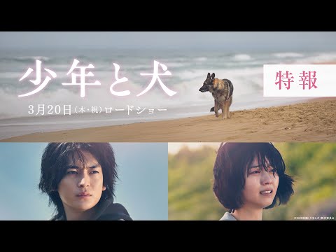 映画『少年と犬』特報映像【2025年3月20日(木・祝)公開】