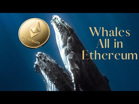 Ethereum Might Surpass All Time High With This Insane Pumps From Whales