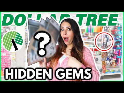 20 Dollar Tree items YOU should BUYING now (organization for 2023)